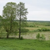 Dzien-Dziecka-36