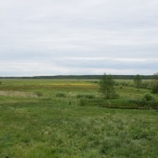 dzien_dziecka-34