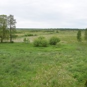 dzien_dziecka-35