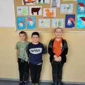 pomaranczowy-5