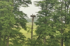 Wycieczka-do-Tykocina-53