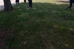Sprzatamy-dla-Polski-21
